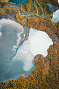 Lapland, Europes Last Wilderness : Laponia, Last Wilderness of Europe. A photography project by Photographer Tobias Hägg, Airpixels