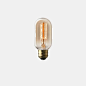 Light Bulbs : Light Bulbs Ever since Thomas Edison introduced the world to light bulbs, these handy devices have changed the way we live in our homes, businesses, and society. Light bulbs have come a long way since the days when only incandescent bulbs we