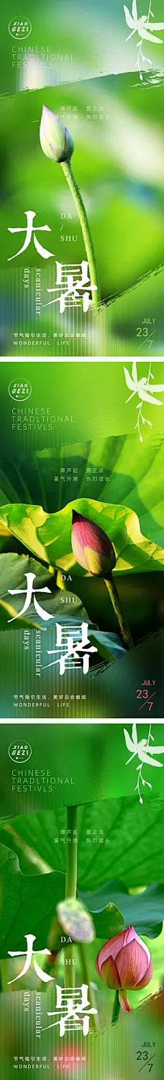 【南门网】荷花 广告 海报 大暑 节气 系列