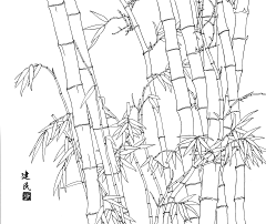 Eleven_ya采集到植物线稿