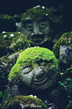 张大神采集到古典意境