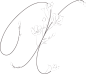 唯美婚礼素描字母花卉植物海报请柬装饰免抠PNG元素图案PS合集 (218)