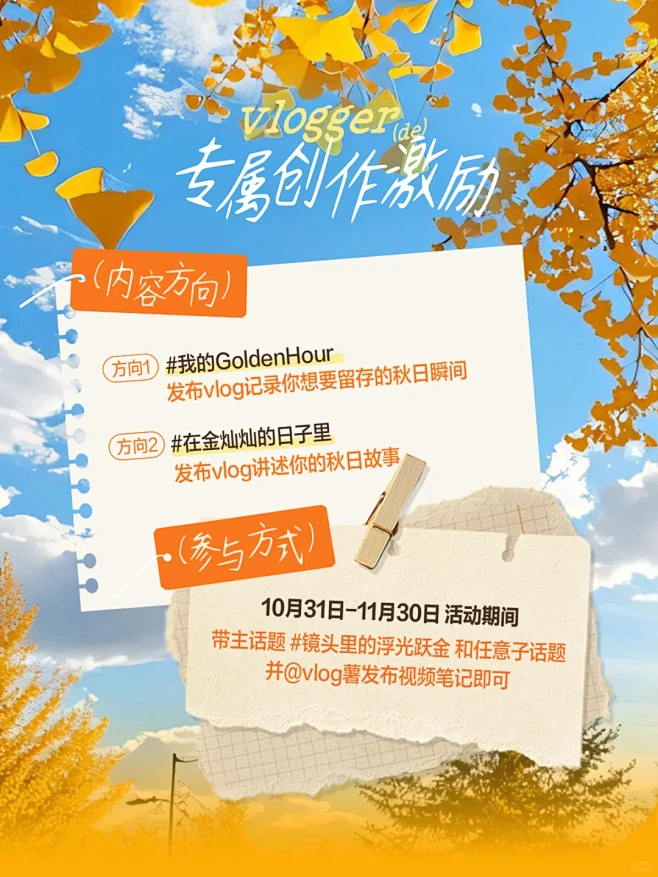 镜头里的浮光跃金｜抓住所有金灿灿的时刻 ...