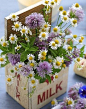 milk... | ~)( Floral Design )(~