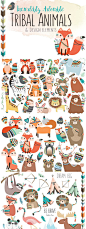 卡通狐狸动物素材 Huge Tribal Animal Clipart Bundle