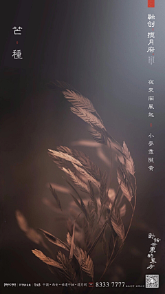 澹台燊采集到节气-春