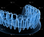下颌牙龈及牙齿解剖，x光片。医学上准确的牙齿3D插图