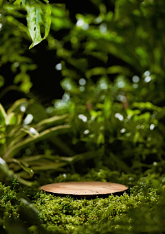 渺颜采集到户外风景