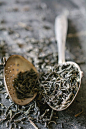 Green Tea and Infuser by Pixel Stories | Stocksy United