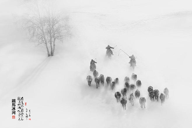 铁马冰河 黑白 冬季 冷 马 风雪 7M...