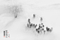 铁马冰河 黑白 冬季 冷 马 风雪 7MX年度摄影大奖赛—我的2017 游牧民族