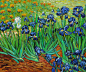 Irises by Vincent Van Gogh OSA409