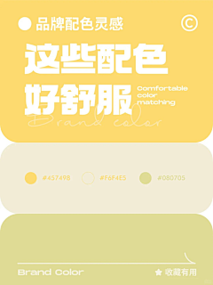 EuropeanRobin采集到配色