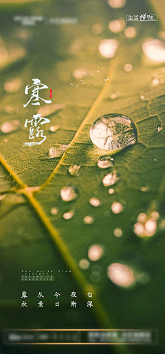 Youzhi-采集到海报