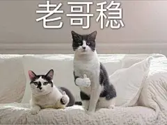 近期热门表情包精选20170417 ​​​​