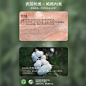 modomoma礼寓婴儿衣服秋季女宝宝丝绒连体衣百天满月公主哈衣爬服-tmall.com天猫
