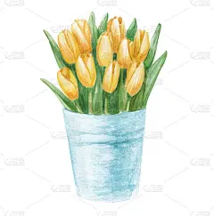 粉红色郁金香在桶水彩插图孤立在白色