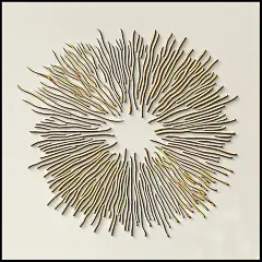 BFYS-57 现代正 (28)