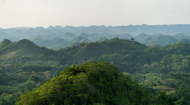 Tropical Hills (75)