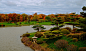 ，美国，公园，池塘，秋季，Botanic Garden，芝加哥，灌木，树，设计，大自然，