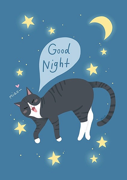 我的相册-猫的晚安2
