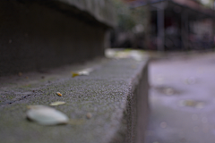 84_＂采集到男鞋背景/近景特写/户外场景