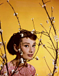 【无法忘怀的容颜】奥黛丽 赫本 Audrey Hepburn 。 #影视明星# #美人# #时尚美人# #老明星# #英伦范# @于心木子 