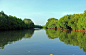 Pichavaram mangrove by sureshramlee on 500px