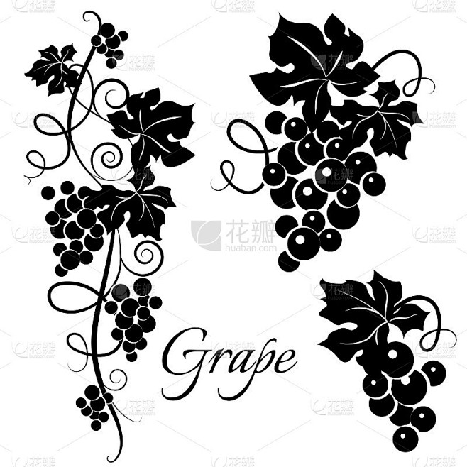 一组黑色的葡萄剪影