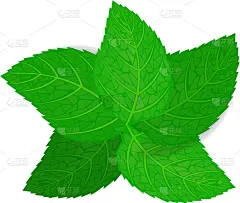 胡椒薄荷,清新,茶,可爱的,素食,香料,环境,食品,串,烹调