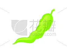 矢量,豌豆荚,计算机图标,卡通,绿辣椒,蔬菜,菜单,健康保健,清新,香料