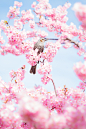 Cherry Blossom by Márcio Buniya on 500px