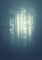 Tumblr