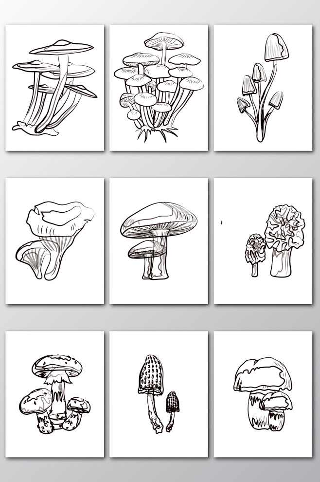 菌线条素描植物矢量图形