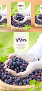 树莓 水果 浅绿背景 餐饮美食海报PSD_平面设计_海报