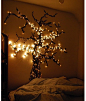 DIY Bedroom Tree Lights.