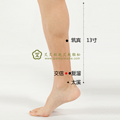 Riko丶采集到穴位