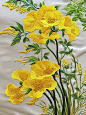 苏绣｜油菜花 - 小红书