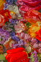 Photographer Joe Horner Depicts Flowers Like You’ve Never Seen Them Before – PRINT Magazine