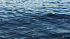 温柔的波浪在水面上的背景