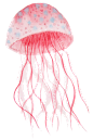 水彩手绘可爱卡通海洋风海底世界鲸鱼水母PNG免扣图片PS设计素材