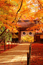 Komyo-ji Tenple, Kyoto, Japan 京都 光明寺