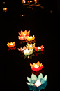 Chinese flower lanterns 2 by kesirui on deviantART 花灯宛转光华时