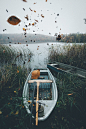 Let the leaves run free. by Johannes Hulsch on 500px