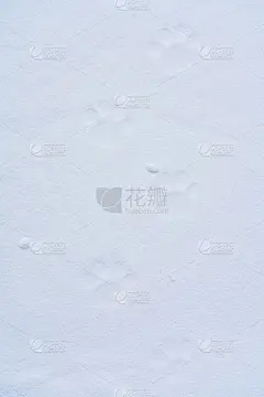 足迹