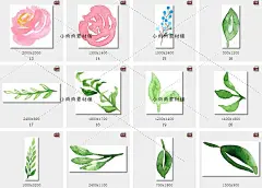 手绘水彩唯美玫瑰花月季花店铺装修PNG设计素材png172-淘宝网