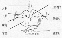 小燕子设计采集到人物--五官