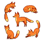 Foxes ♥
