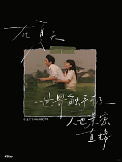 这个人是个人采集到文字版式取胜and日系清新