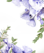 紫色鲜花树叶花卉_免抠PNG：